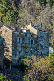 Saliceto