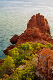 Estérel