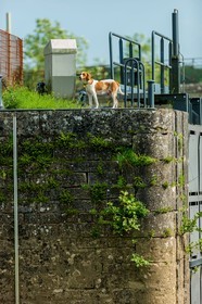 Scey-sur-Saône