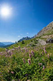 Col des Champs