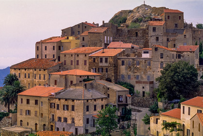 Belgodère