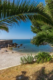 Bandol