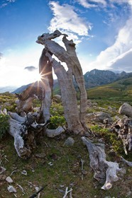 GR 20 Nord