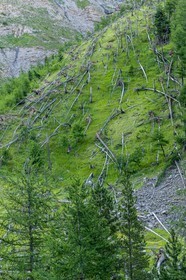Cascade du Pich