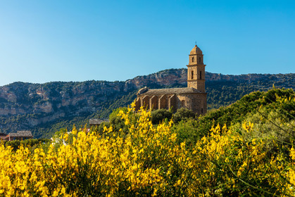 Patrimonio