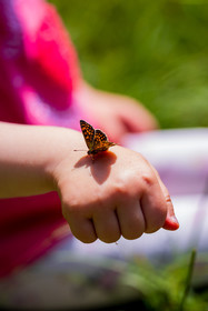 France, Alpes-de-Haute-Provence, Val d'Allos