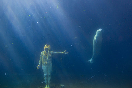 Seaquarium