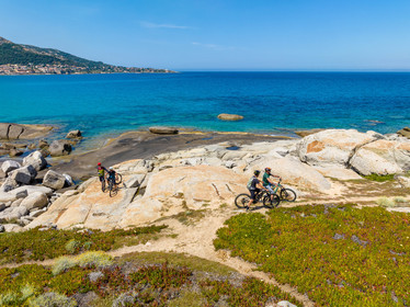 Vtt