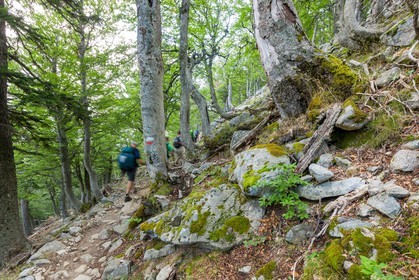 GR 20 Sud