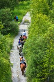 Equitation