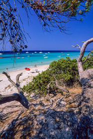 Saleccia