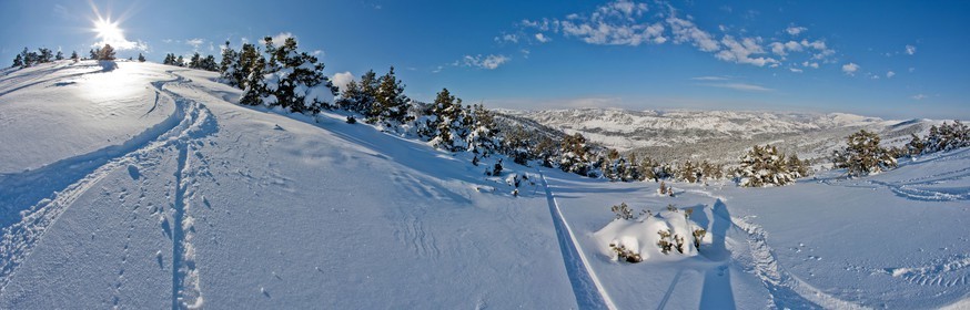 Paysage d'hiver