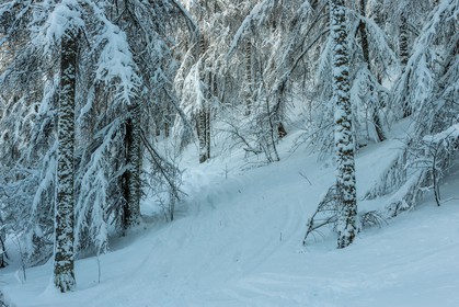 Le Seignus d'Allos