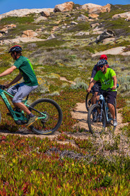Vtt