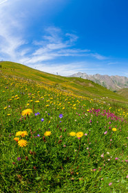 Col d'Allos