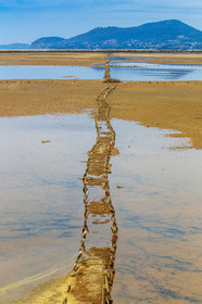 Salins d'Hyères