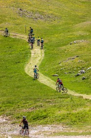 Vtt