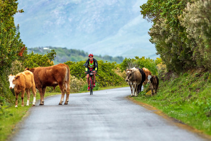 Col de Bigorno