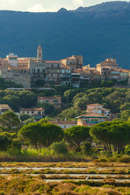 Porto-Vecchio