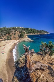 Cavalaire