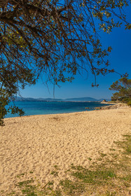 Grimaud