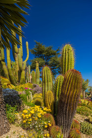 Eze Jardin exotique