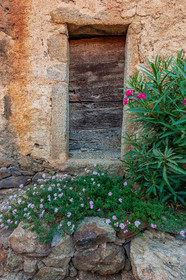 Pigna