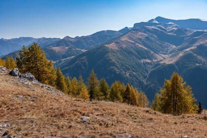 Auron