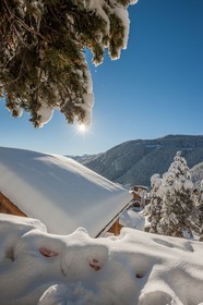 Auron