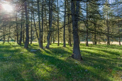 Col de la Petite Cayolle