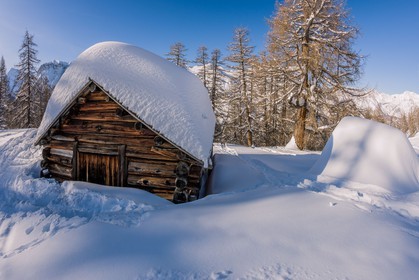 Auron