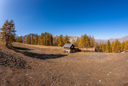 Auron
