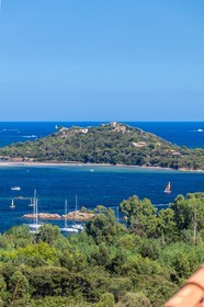 Benedettu