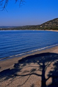 e mail robert.palomba@wanadoo.fr