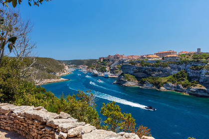 Bonifacio