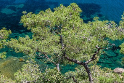 .La Seyne-sur-Mer