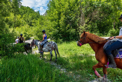 Equitation