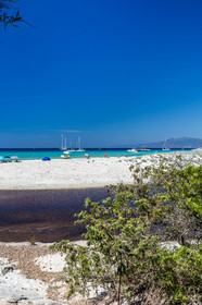 Saleccia