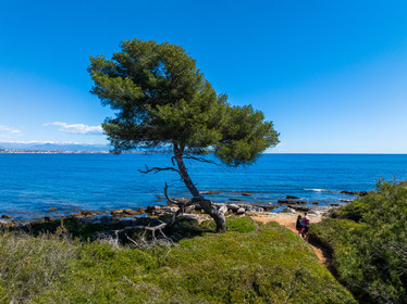 Lérins Sainte-Marguerite 2024