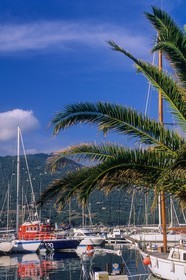 Propriano