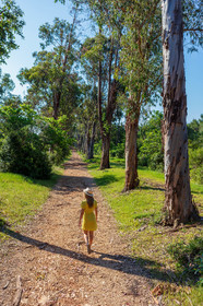 Lérins Sainte-Marguerite