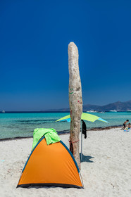 Saleccia