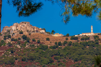 Sant' Antonino