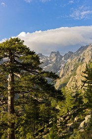 GR 20 Nord