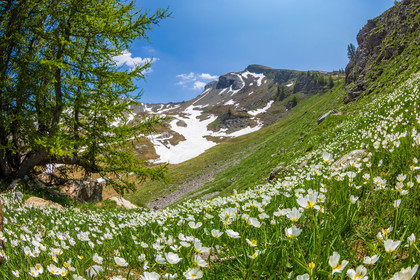 Lac d'Allos