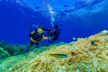 Plongée-sous-marine