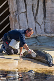 Seaquarium