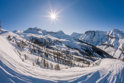 Auron