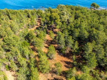 Lérins Sainte-Marguerite 2024
