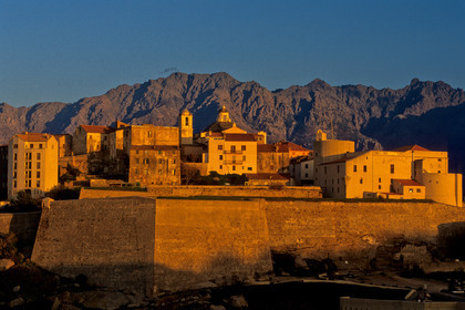 Calvi